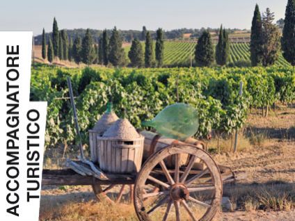 Accompagnatore Turistico